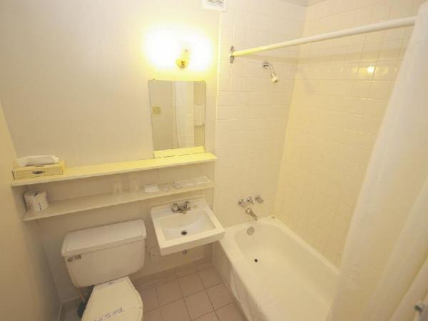 The Alexandra Hotel : photo 3 de la chambre chambre lit double et lit simple