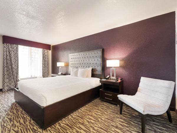 Clarion Inn & Suites Across From Universal Orlando Resort : photo 5 de la chambre chambre lit king-size - côté piscine - sans frais de service