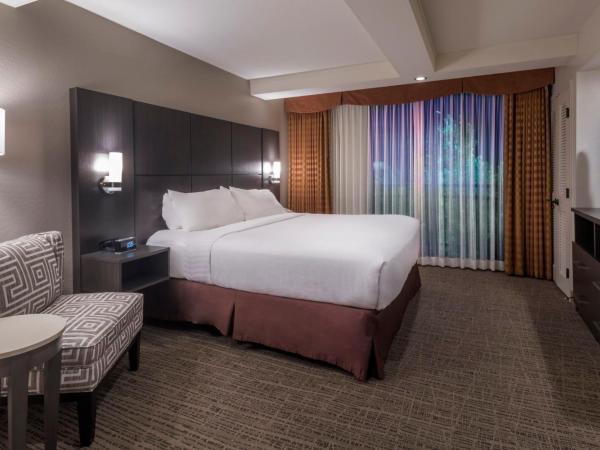 Holiday Inn and Suites Phoenix Airport North, an IHG Hotel : photo 5 de la chambre suite supérieure 