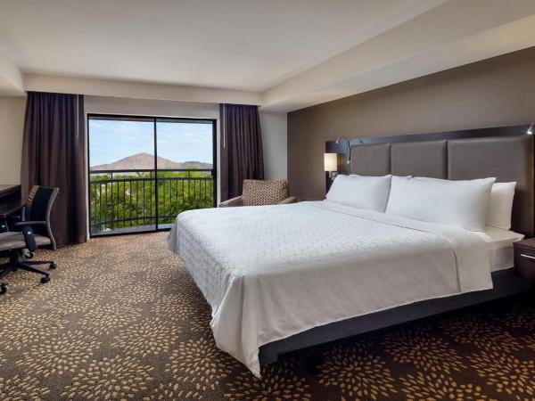 Holiday Inn and Suites Phoenix Airport North, an IHG Hotel : photo 3 de la chambre suite 1 chambre lit king-size avec canapé-lit