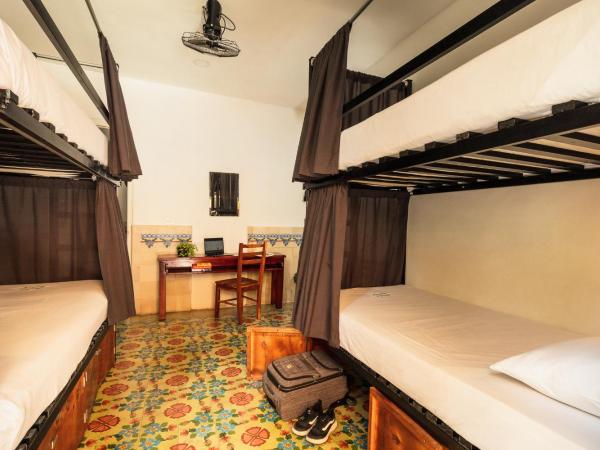 Che Nomadas Mérida Hostel Adults Only : photo 1 de la chambre lit dans dortoir mixte de 4 lits avec salle de bains commune