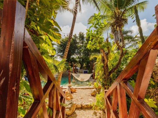 Che Nomadas Mérida Hostel Adults Only : photo 8 de la chambre chambre double lit king-size avec salle de bains privative