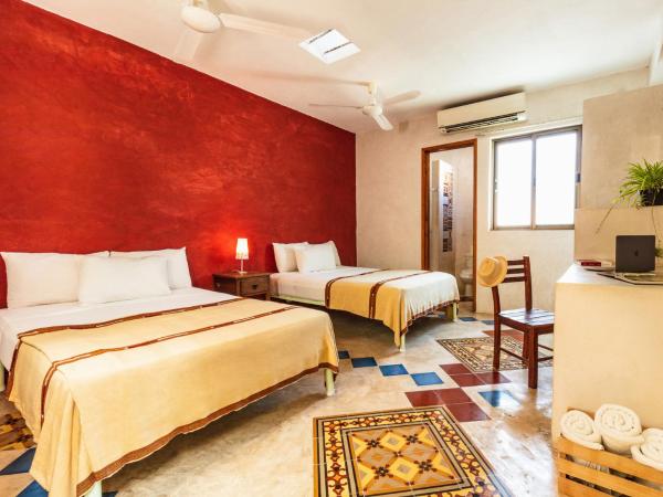 Che Nomadas Mérida Hostel Adults Only : photo 1 de la chambre chambre double avec 2 lits doubles et vue sur le jardin