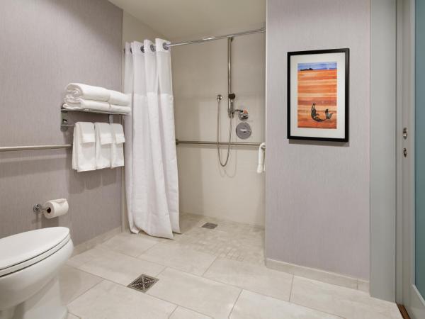 Hyatt Place Boston/Seaport District : photo 1 de la chambre chambre 2 lits queen-size avec douche accessible en fauteuil roulant et vue - accessible aux personnes à mobilité réduite