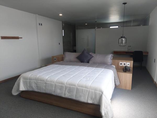 Oaxaca Inn Reforma : photo 2 de la chambre suite exécutive