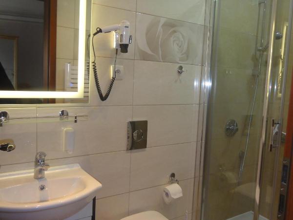 Sopot Roza Apartments : photo 6 de la chambre chambre double ou lits jumeaux avec douche