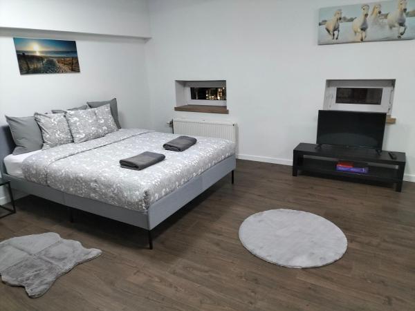 Super central in Brussels : photo 1 de la chambre studio supérieur