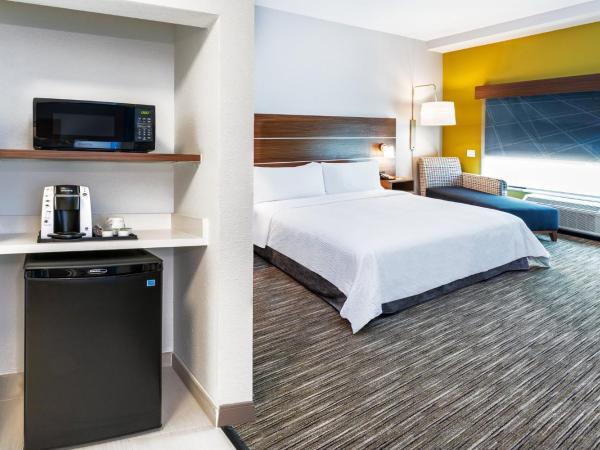 Holiday Inn Express & Suites - Houston - N Downtown, an IHG Hotel : photo 2 de la chambre chambre lit king-size standard
