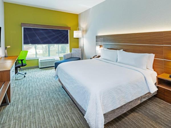 Holiday Inn Express & Suites - Houston - N Downtown, an IHG Hotel : photo 3 de la chambre chambre lit king-size standard