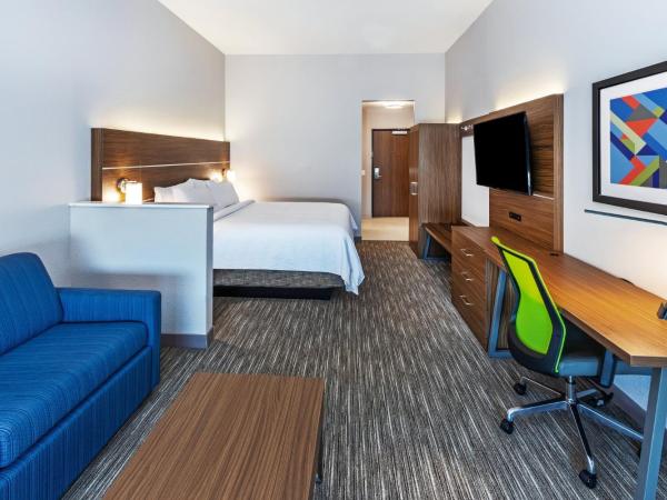 Holiday Inn Express & Suites - Houston - N Downtown, an IHG Hotel : photo 2 de la chambre chambre lit king-size exécutive avec canapé-lit