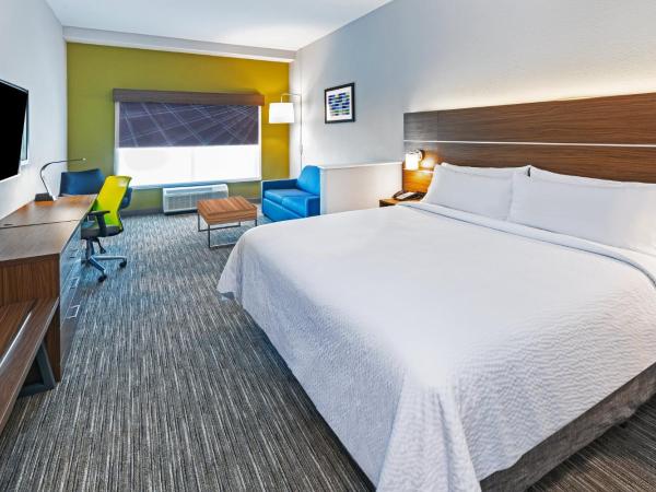 Holiday Inn Express & Suites - Houston - N Downtown, an IHG Hotel : photo 4 de la chambre chambre lit king-size exécutive avec canapé-lit