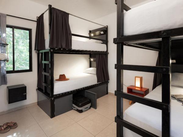Che Tulum Hostel & Bar Adults Only : photo 1 de la chambre lit dans dortoir pour femmes de 4 lits