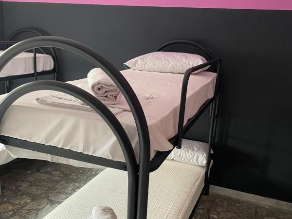 Alexander hostel : photo 1 de la chambre lit dans dortoir pour femmes de 6 lits