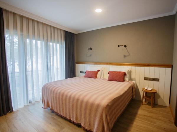 Istanbul Old City Colorful Houses Balat PETRION Hotel : photo 10 de la chambre chambre double