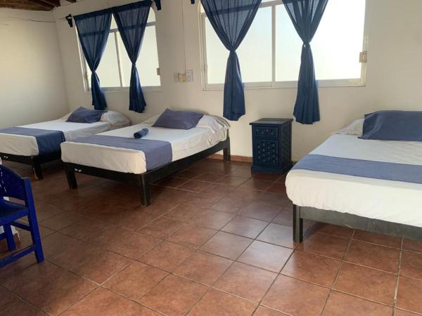 Hotel & Hostal Mayflower : photo 2 de la chambre chambre familiale