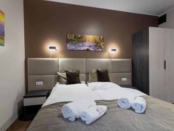 Pensjonat Śnieżka SPA : photo 5 de la chambre studio (2 adultes)