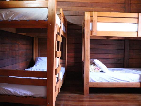 Woods Hostel : photo 3 de la chambre lits superposés dans dortoir masculin