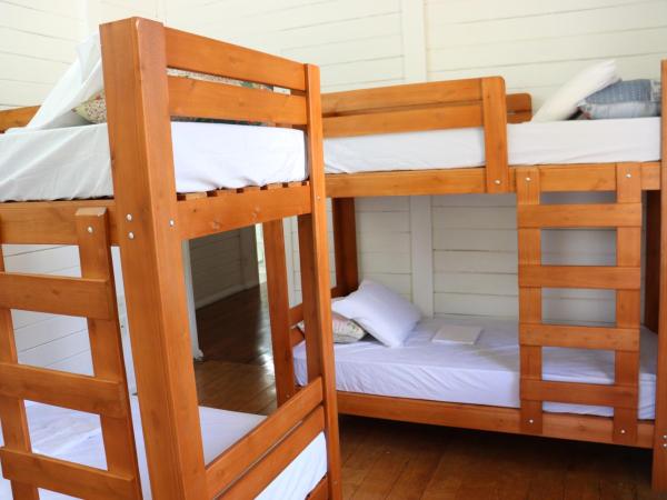 Woods Hostel : photo 2 de la chambre lit superposé dans dortoir pour femmes