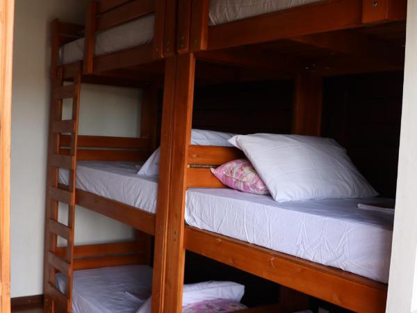 Woods Hostel : photo 2 de la chambre lit superposé dans dortoir mixte