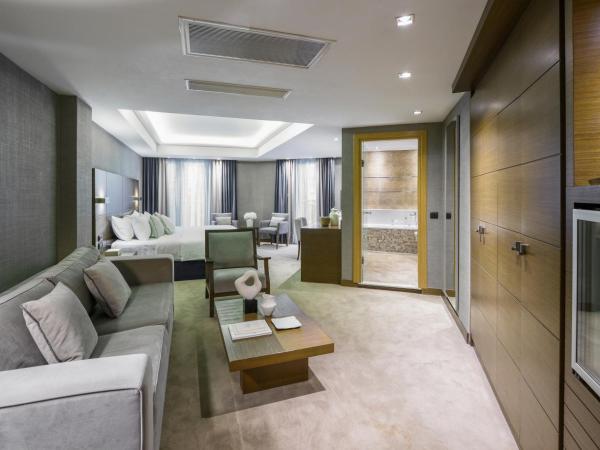 Anatolia Hotel : photo 2 de la chambre suite junior