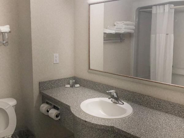 Days by Wyndham Niagara Falls Centre St. By the Falls : photo 1 de la chambre suite lit king-size avec jacuzzi et canapé-lit