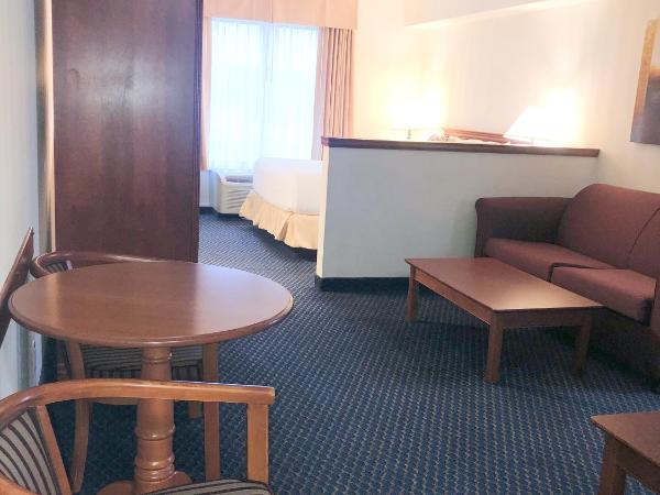 Days by Wyndham Niagara Falls Centre St. By the Falls : photo 4 de la chambre suite lit queen-size avec canapé-lit