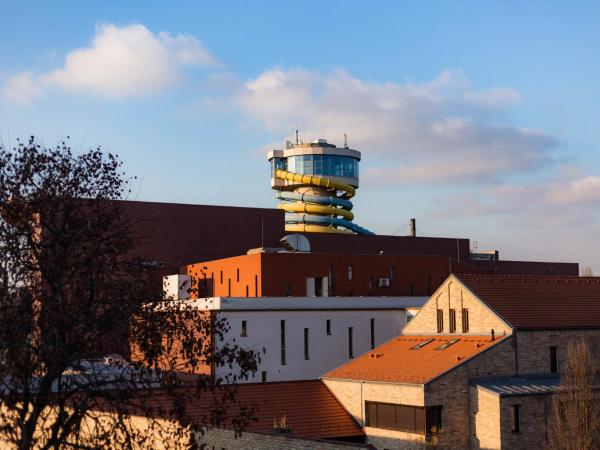 Maya Panzio-Rezidencia : photo 8 de la chambre suite en duplex
