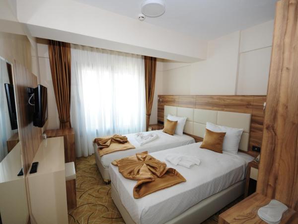 Grand Hekimoğlu HOTELS : photo 4 de la chambre chambre lits jumeaux Économique