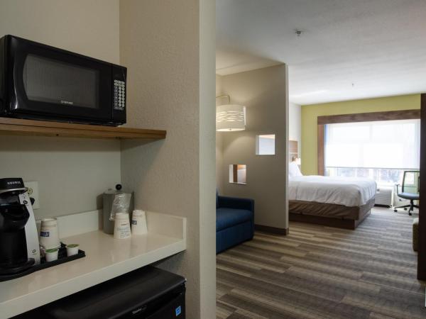 Holiday Inn Express Hotel & Suites Atlanta Airport West - Camp Creek, an IHG Hotel : photo 3 de la chambre suite lit king-size avec canapé-lit