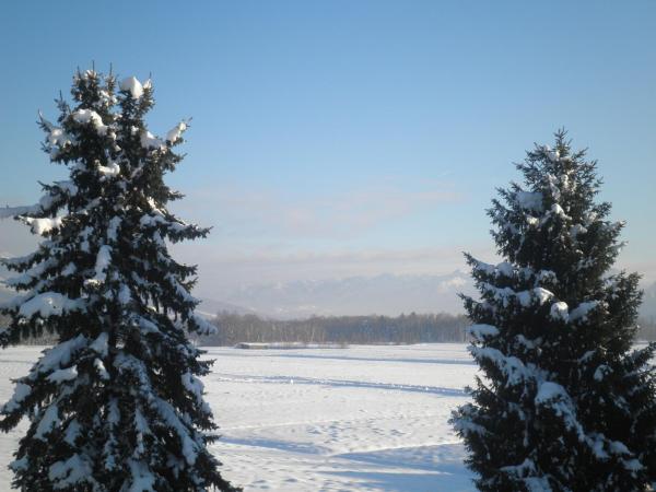 Pension Ballwein : photo 9 de la chambre chambre double avec balcon ou terrasse