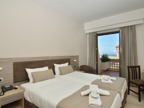 Royal Sun : photo 4 de la chambre chambre lits jumeaux avec vue sur ville