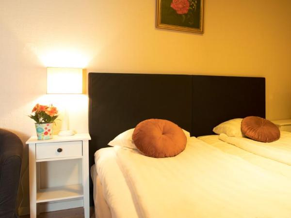 Euroway Hotel : photo 7 de la chambre chambre simple standard