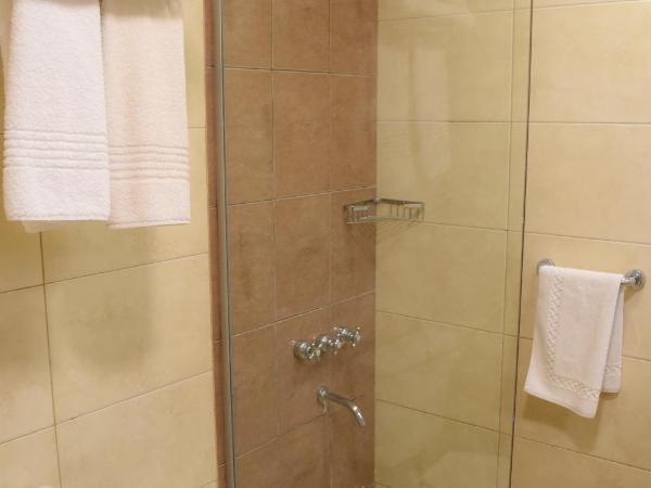 Ritz Hotel Mendoza : photo 1 de la chambre chambre triple