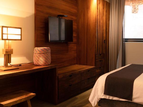 El Callejón Hotel Boutique : photo 6 de la chambre suite avec terrasse