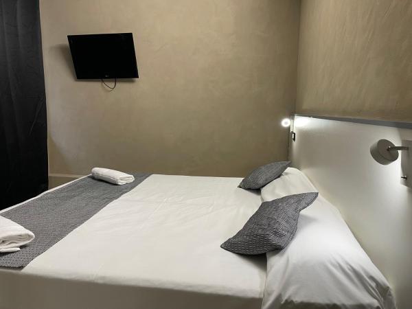 Lion Guesthouse : photo 8 de la chambre chambre double ou lits jumeaux