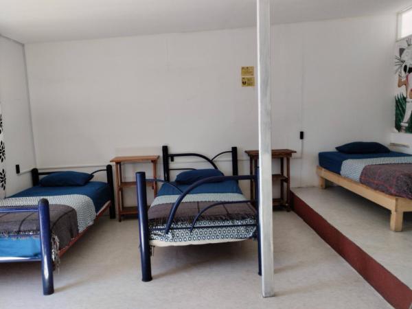 Hostal San Pueblo : photo 8 de la chambre lit dans dortoir mixte de 6 lits