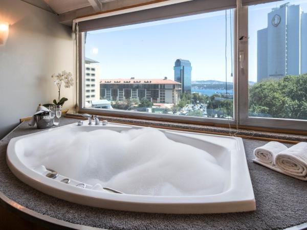 Taxim Suites Residences Istanbul : photo 3 de la chambre penthouse supérieur - vue sur bosphore