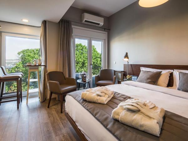 Taxim Suites Residences Istanbul : photo 1 de la chambre chambre deluxe