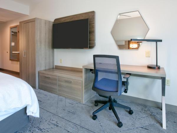 Holiday Inn Express & Suites North Dallas at Preston, an IHG Hotel : photo 1 de la chambre chambre standard