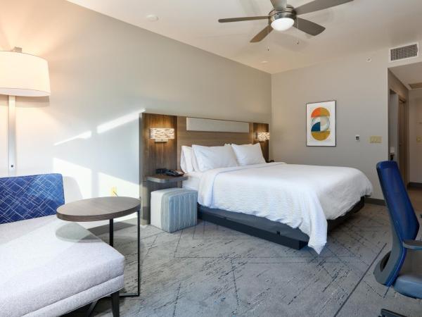Holiday Inn Express & Suites North Dallas at Preston, an IHG Hotel : photo 2 de la chambre chambre standard