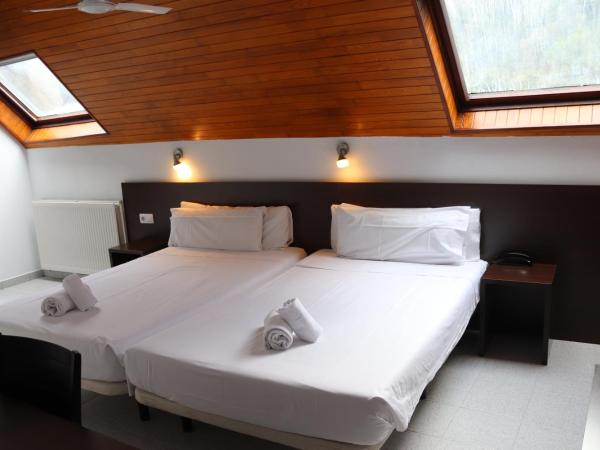 Insitu Eurotel Andorra : photo 5 de la chambre chambre double ou lits jumeaux mansardée