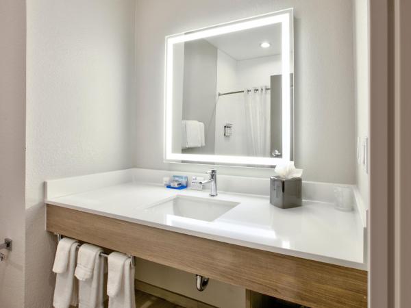 Holiday Inn Express & Suites North Dallas at Preston, an IHG Hotel : photo 5 de la chambre chambre standard
