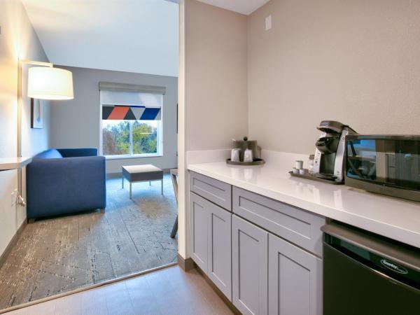 Holiday Inn Express & Suites North Dallas at Preston, an IHG Hotel : photo 4 de la chambre chambre lit king-size standard avec canapé-lit - non-fumeurs