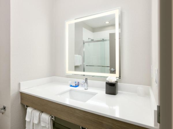 Holiday Inn Express & Suites North Dallas at Preston, an IHG Hotel : photo 4 de la chambre chambre standard