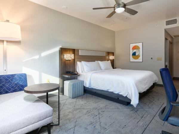 Holiday Inn Express & Suites North Dallas at Preston, an IHG Hotel : photo 6 de la chambre chambre standard