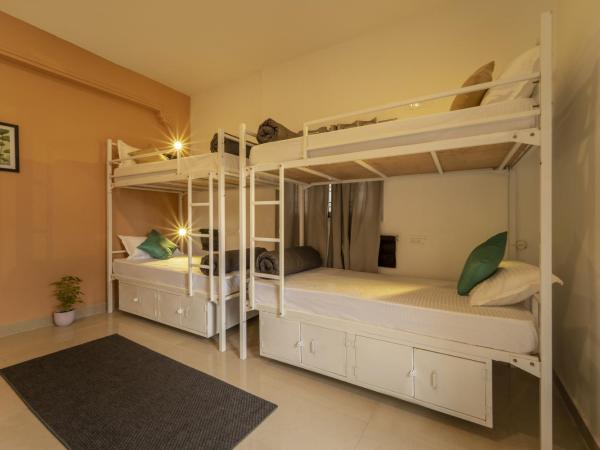Zostel Hyderabad : photo 1 de la chambre lit dans dortoir pour femmes de 4 lits