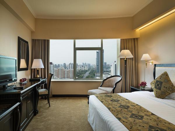 Celebrity International Grand Hotel : photo 1 de la chambre chambre standard lit queen-size