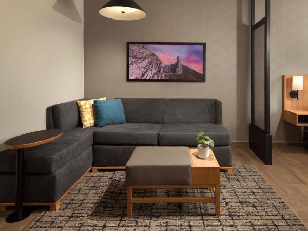 Hyatt Place Monterrey Valle : photo 3 de la chambre chambre lit king-size avec canapé-lit et douche accessible en fauteuil roulant - accessible aux personnes à mobilité réduite