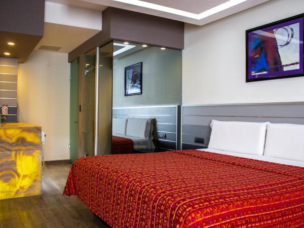 HOTEL MIRAMAR : photo 7 de la chambre chambre simple supérieure