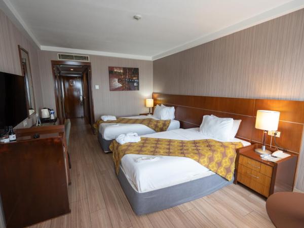 The Green Park Bostancı : photo 1 de la chambre chambre lits jumeaux standard